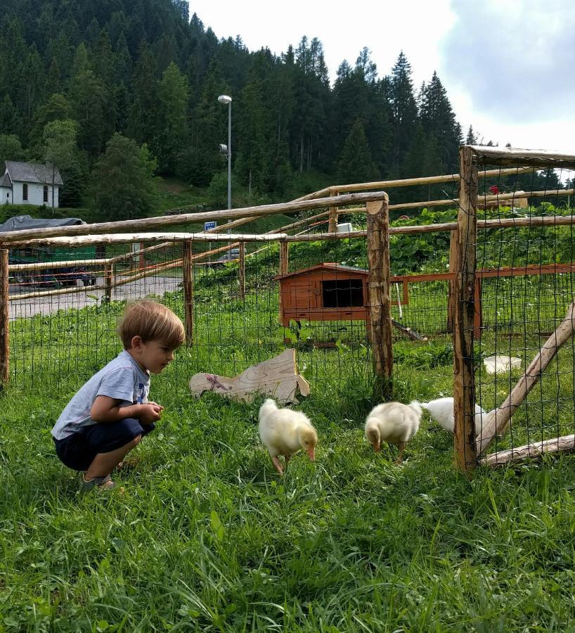 Agritur Broch Villa Fiera Di Primiero Dış mekan fotoğraf