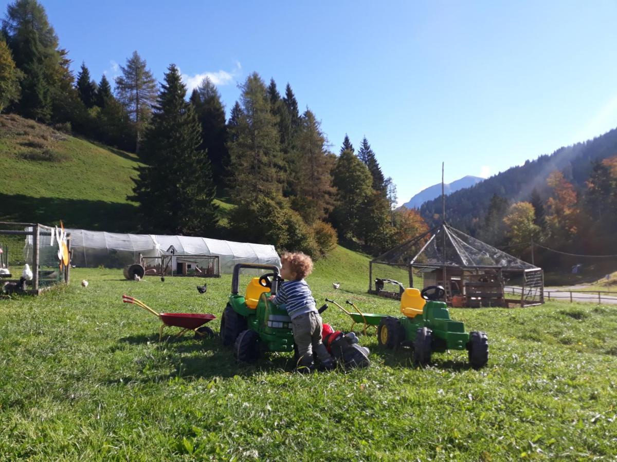 Agritur Broch Villa Fiera Di Primiero Dış mekan fotoğraf