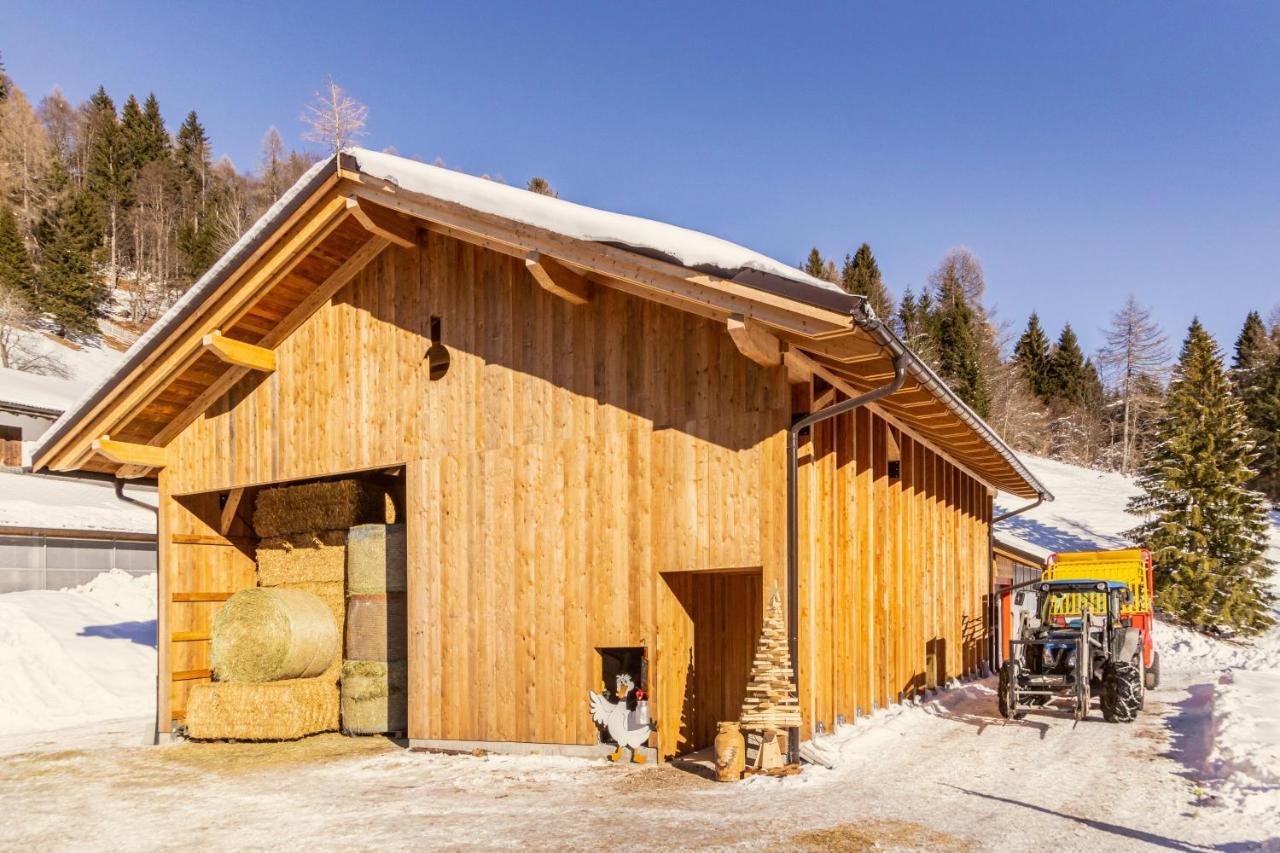 Agritur Broch Villa Fiera Di Primiero Dış mekan fotoğraf